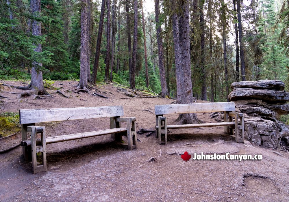 Walkway Benches along the Johnston Canyon Hike