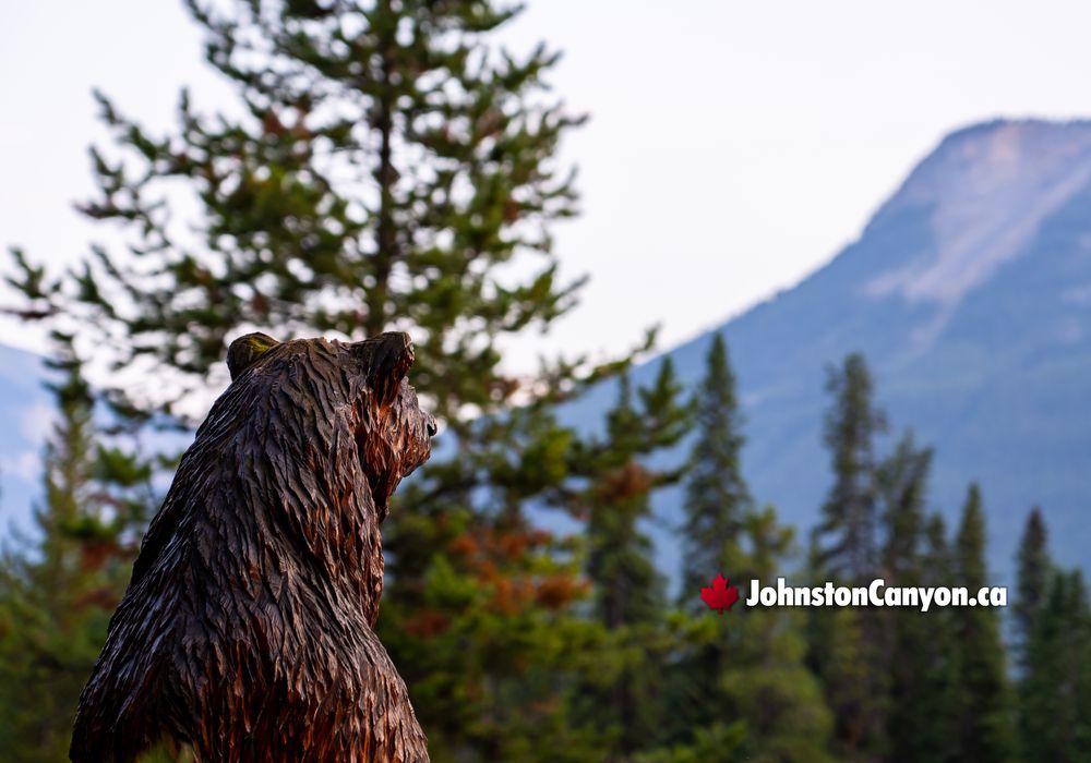 Carved Grizzly Statue at Johnston Canyon