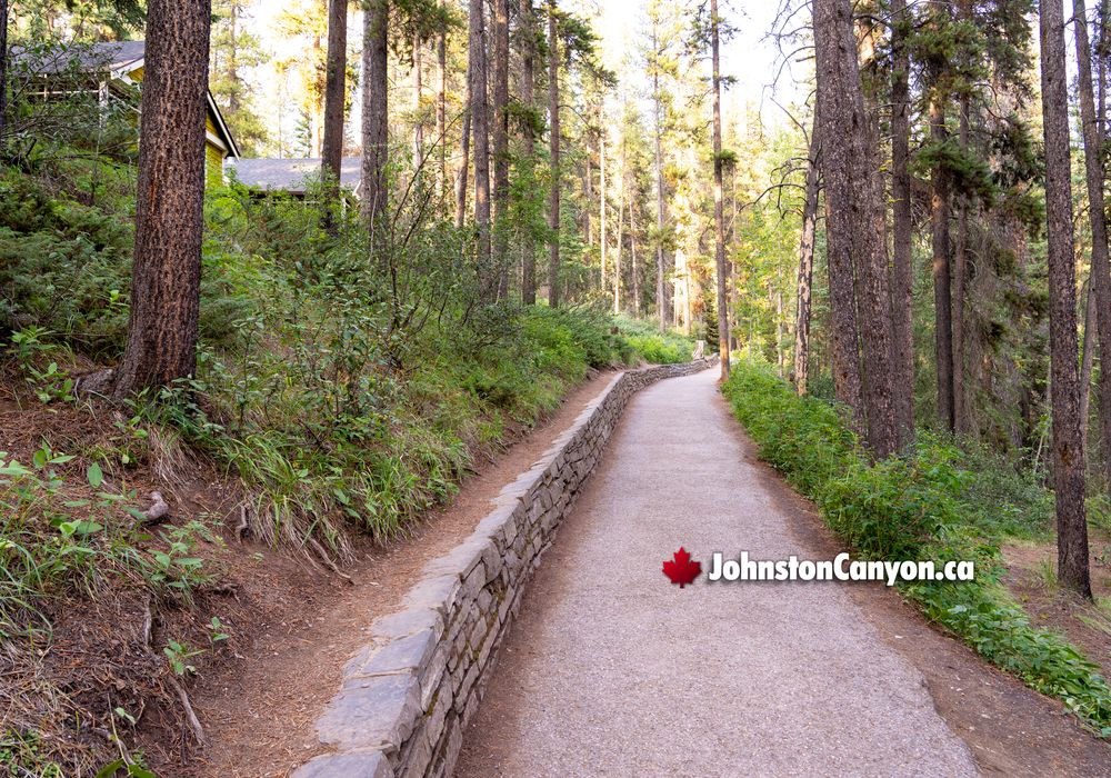 Hiking Johnston Canyon's Scenic Trails
