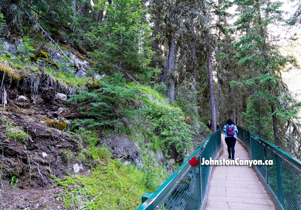 Hiking Bridges Overlooking Johnston Canyon