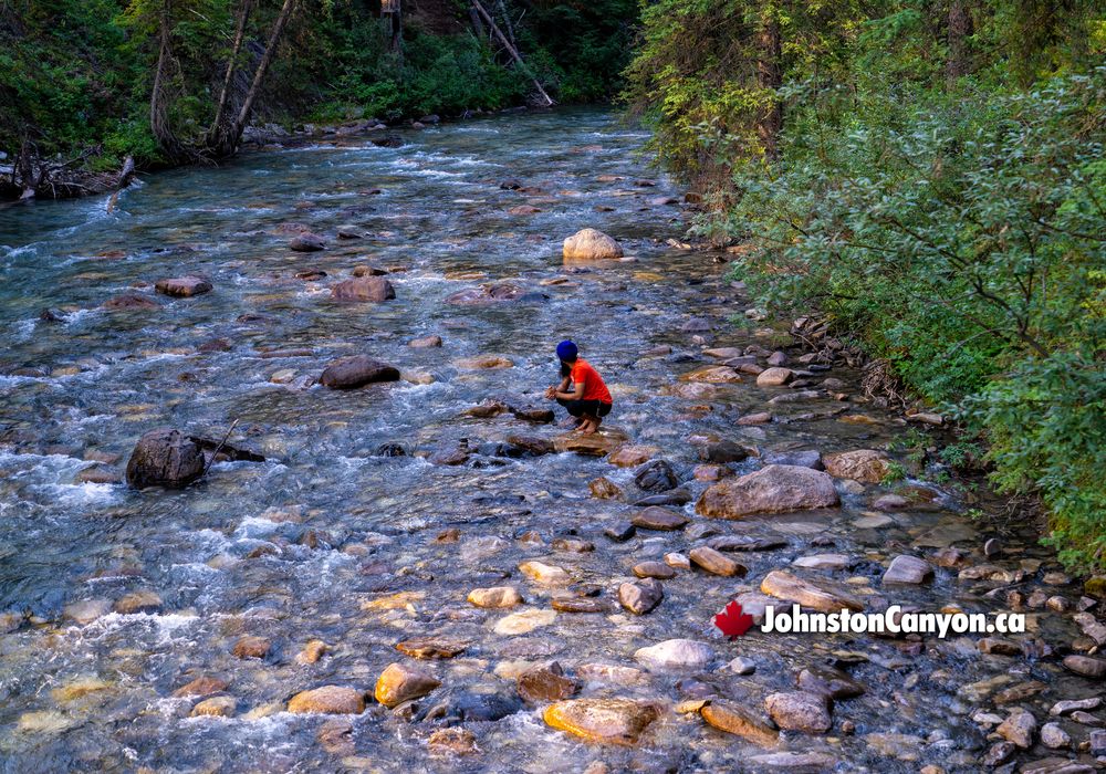 Johnston Canyon is Sculpted by the Flowing Waters of Johnston Creek