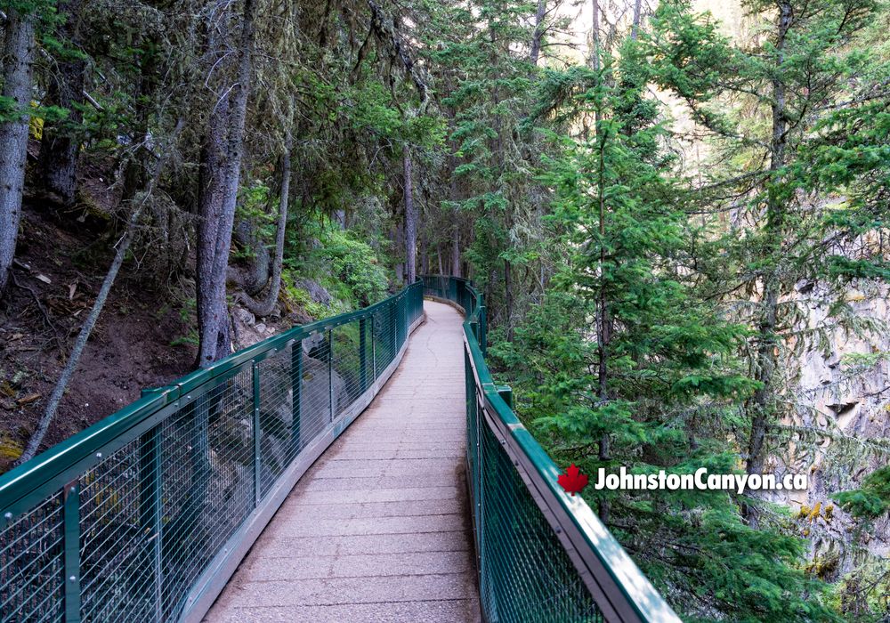 Elevated Walkway Bridges of Johnston Canyon