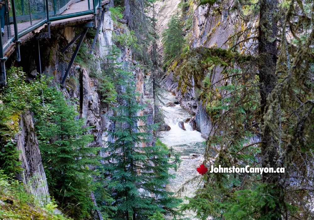 Impressive High Hiking Walkways of Johnston Canyon